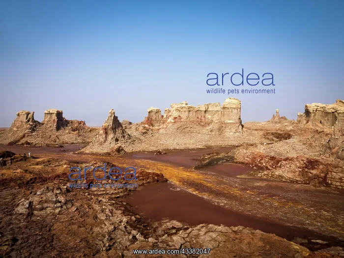 : Dallol Geothermal Area, Danakil Depression, Mountains, E : Dallol Geothermal Area, Danakil Depression, Mountains, E