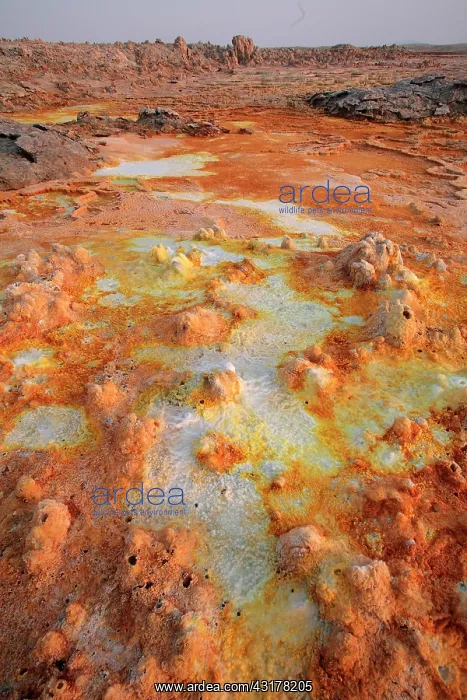 : Dallol hot spring with salt concretions coloured : Dallol hot spring with salt concretions coloured