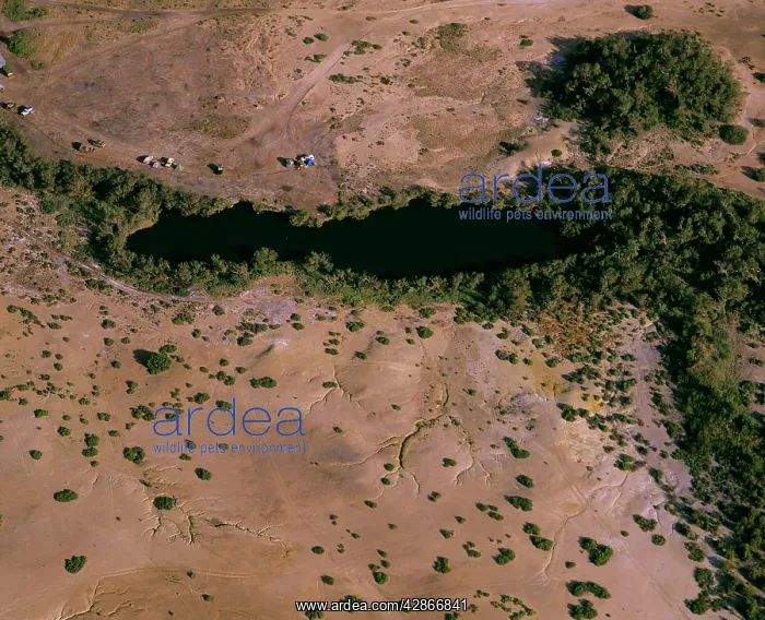  : Dalousie Springs from the air - mound springs bringing