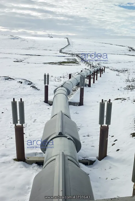 : Dalton Highway : from Fairbanks to Prudhoe Bay : Dalton Highway : from Fairbanks to Prudhoe Bay