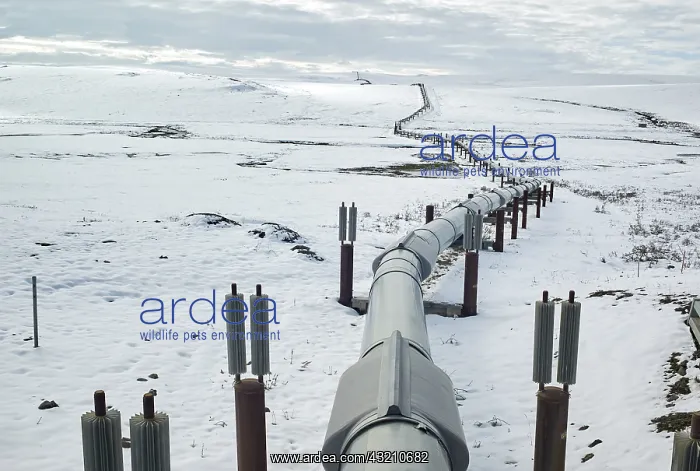 : Dalton Highway : from Fairbanks to Prudhoe Bay : Dalton Highway : from Fairbanks to Prudhoe Bay