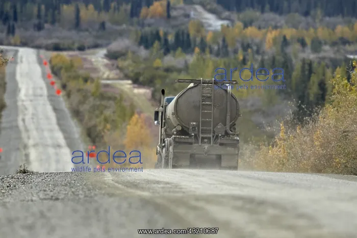 : Dalton Highway : from Fairbanks to Prudhoe Bay : Dalton Highway : from Fairbanks to Prudhoe Bay