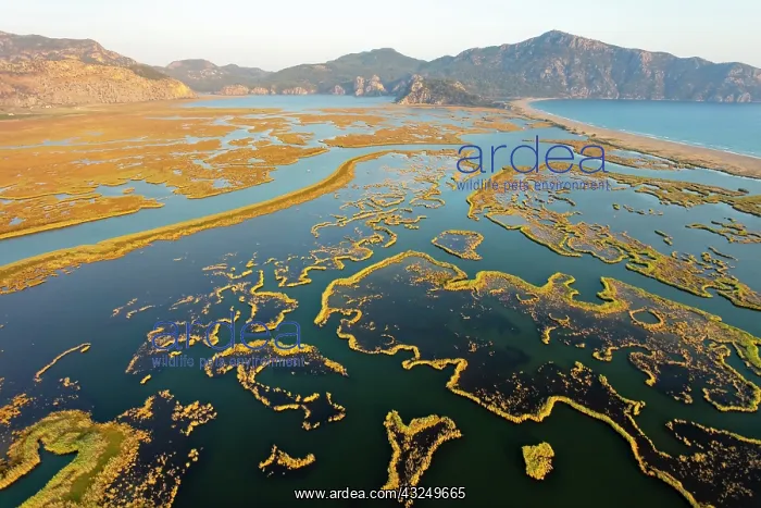 : Dalyan, Koycegiz, Mugla, Turkey : Dalyan, Koycegiz, Mugla, Turkey