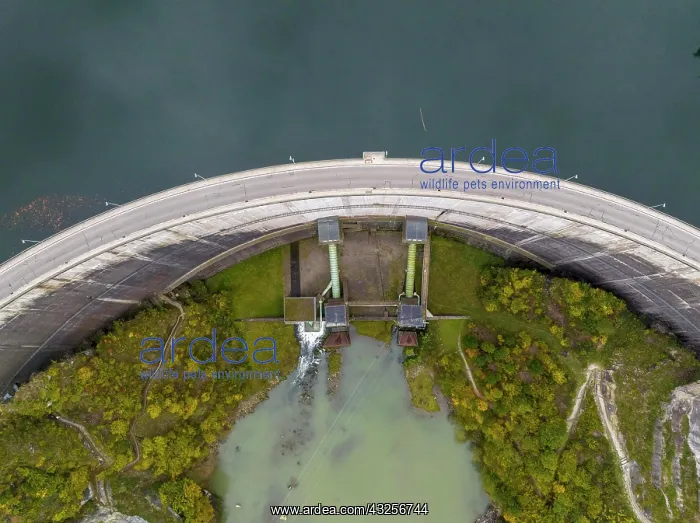 : Dam on Lac de GruyA re, Lake GruyA re, reservoir : Dam on Lac de GruyA re, Lake GruyA re, reservoir