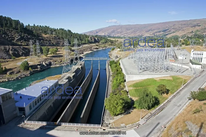 : Dam - View of Roxburgh Dam : Dam - View of Roxburgh Dam
