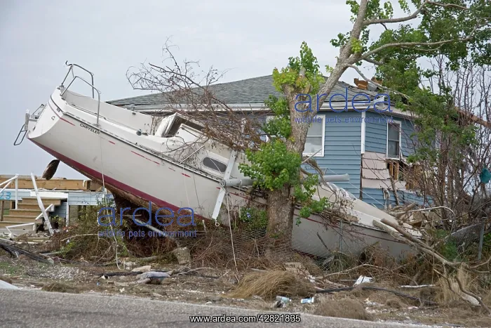 : Damage caused by Hurricane Katrina : Damage caused by Hurricane Katrina