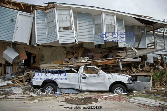 : Damage caused by Hurricane Katrina : Damage caused by Hurricane Katrina