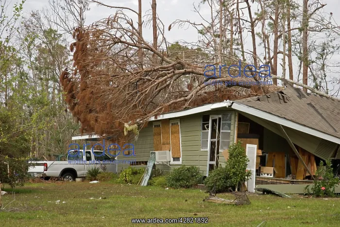 : Damage caused by Hurricane Katrina : Damage caused by Hurricane Katrina