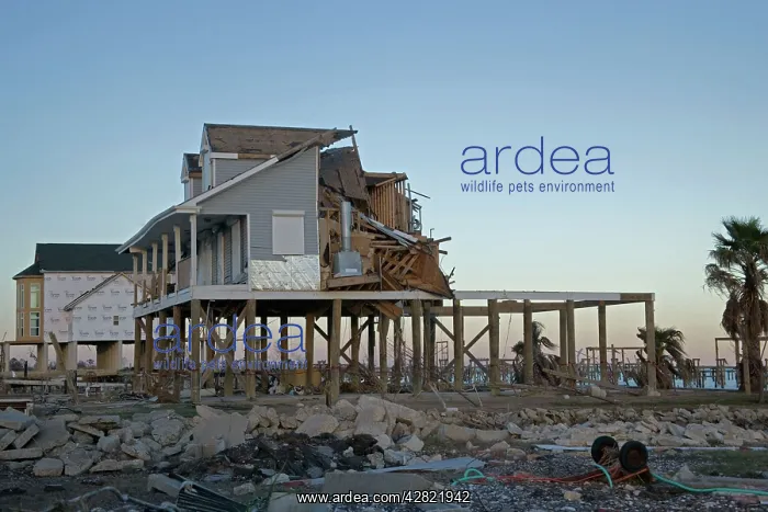 : Damage caused by Hurricane Katrina : Damage caused by Hurricane Katrina