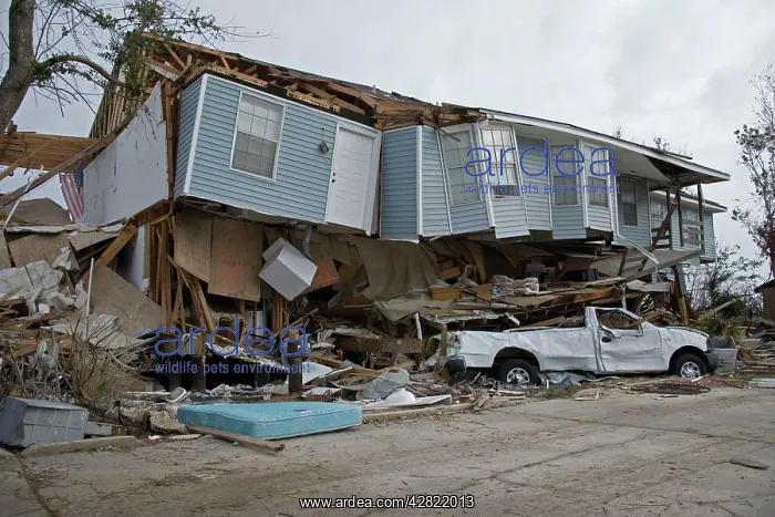 : Damage caused by Hurricane Katrina : Damage caused by Hurricane Katrina