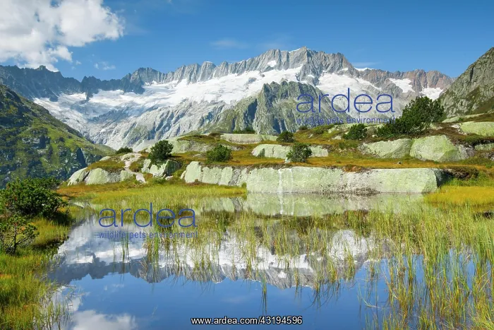 : Dammastock, 3630m, Gnscheneralp, Uri, Switzerland : Dammastock, 3630m, Gnscheneralp, Uri, Switzerland