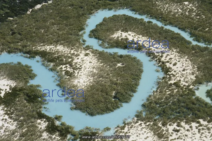 : Dampier Creek, Australia : Dampier Creek, Australia