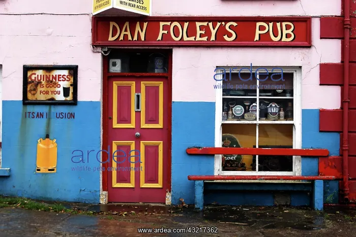 : Dan Foley's Pub, Dingle, County Kerry, Ireland : Dan Foley's Pub, Dingle, County Kerry, Ireland