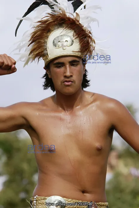 : Dancer on Rapa Nui Language Day, a fiesta organised : Dancer on Rapa Nui Language Day, a fiesta organised
