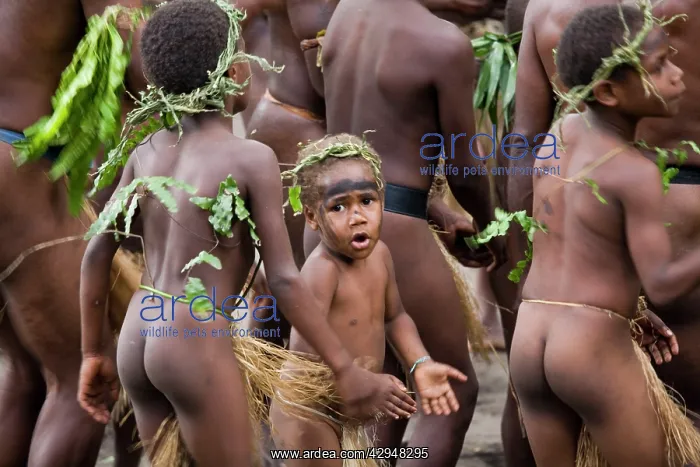: Dancers on Tanna Island Vanuatu : Dancers on Tanna Island Vanuatu