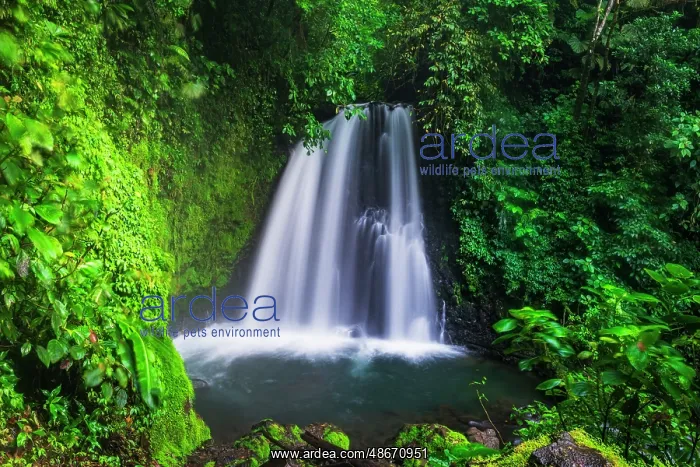 : Danta waterfall, Arenal Volcano National Park, Alajuela : Danta waterfall, Arenal Volcano National Park, Alajuela