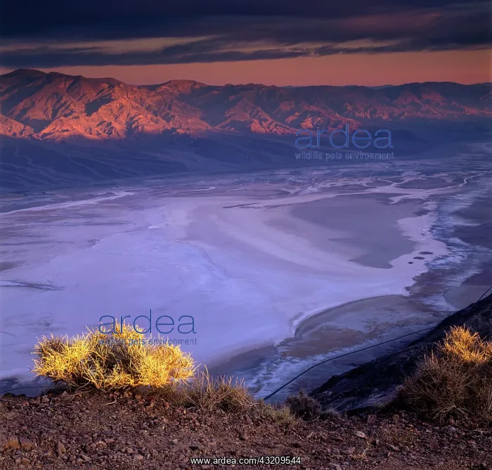 : Dante's View in Death Valley National Park. California : Dante's View in Death Valley National Park. California