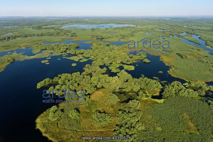 : Danube River Delta, landscape with lakes, canals : Danube River Delta, landscape with lakes, canals