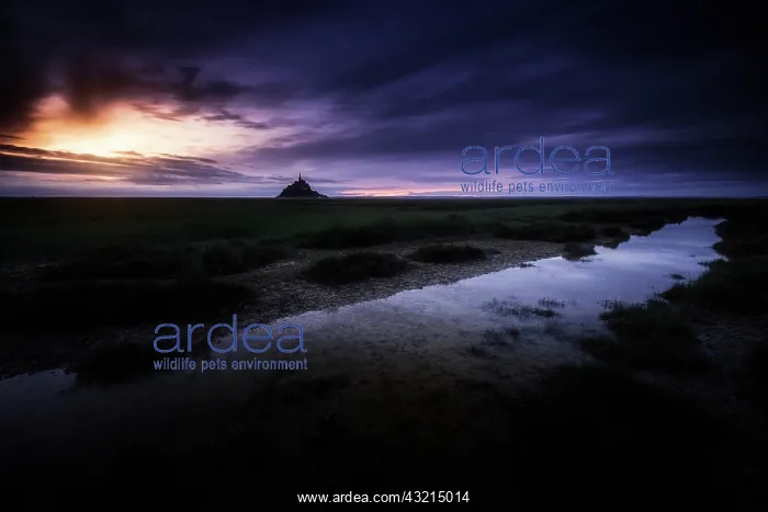  : Dark atmosphere at Mont-Saint-Michel, Normandy