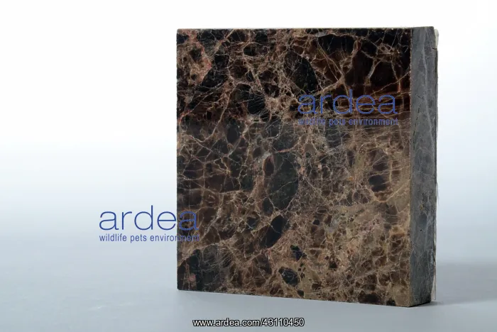 : Dark Emperador Marble : Dark Emperador Marble