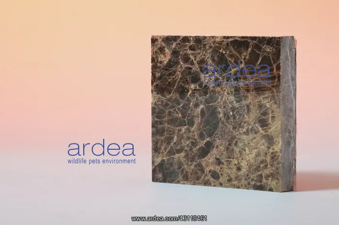 : Dark Emperador Marble : Dark Emperador Marble