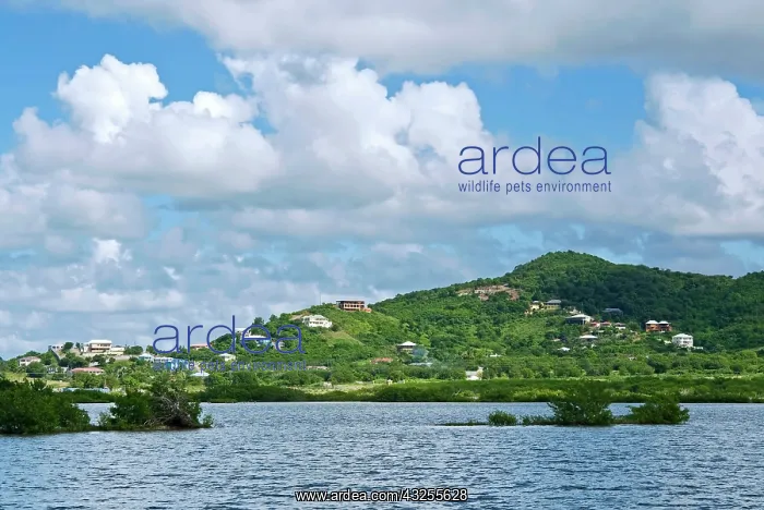 : Darkwood Lagoon, Antigua, West Indies, Caribbean : Darkwood Lagoon, Antigua, West Indies, Caribbean