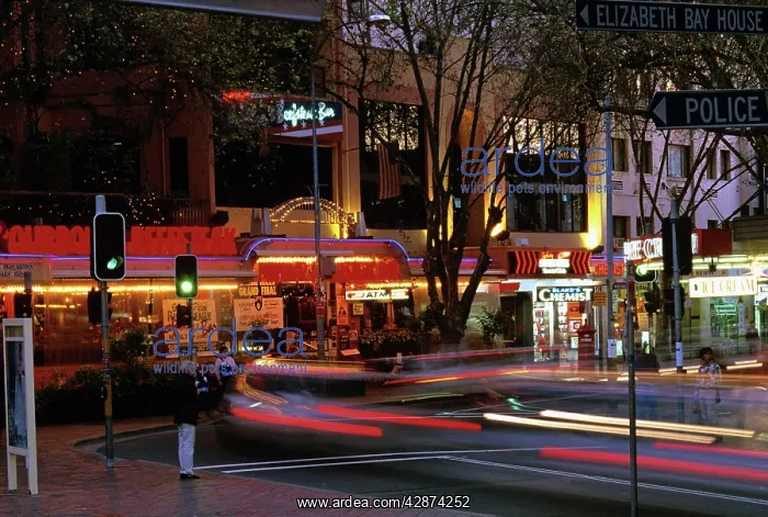 : Darlinghurst Road / Macleay Street corner Kings Cross : Darlinghurst Road / Macleay Street corner Kings Cross