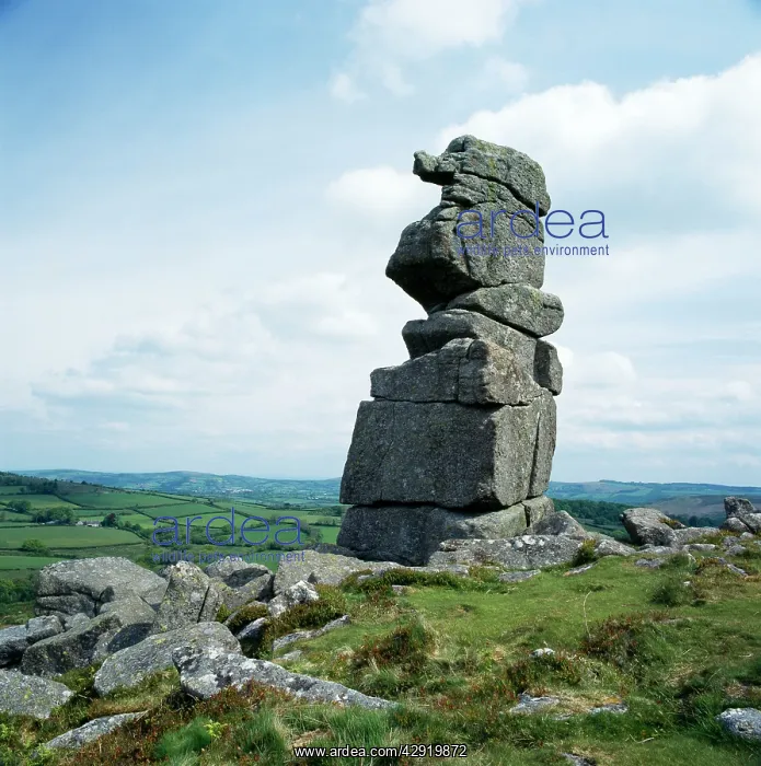 : DARTMOOR - Bowerman's Nose, weathered granite : DARTMOOR - Bowerman's Nose, weathered granite