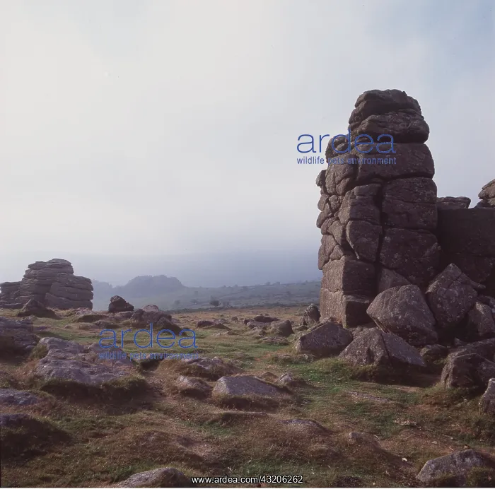 : DARTMOOR - Hound Tor and Greator Rocks Tor : DARTMOOR - Hound Tor and Greator Rocks Tor