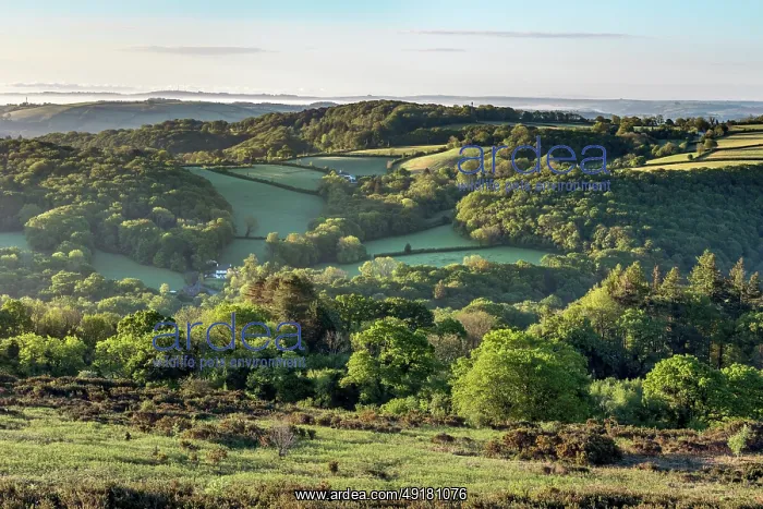 : Dartmoor - View From Aish Tor - Devon - UK : Dartmoor - View From Aish Tor - Devon - UK