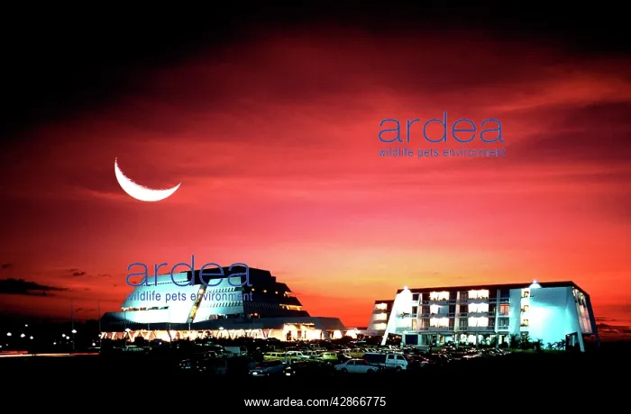 : Darwin Casino at night with crescent moon : Darwin Casino at night with crescent moon