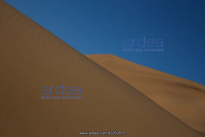 : Date: 14-11-2021 : Date: 14-11-2021