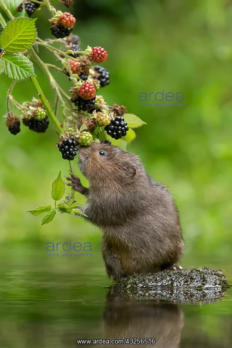 : Date: 22-08-2018 : Date: 22-08-2018