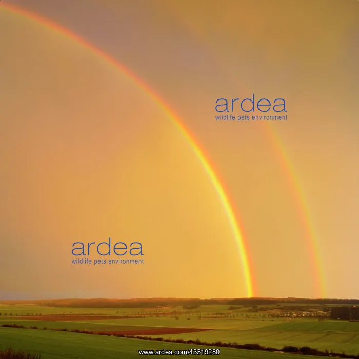 : Date: 24-07-2019 : Date: 24-07-2019