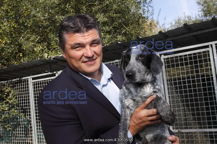 : David Douillet visiting A.S.P.C.A shelter of Plaisir : David Douillet visiting A.S.P.C.A shelter of Plaisir