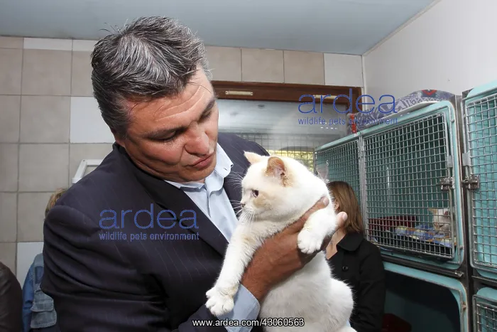 : David Douillet visiting A.S.P.C.A shelter of Plaisir : David Douillet visiting A.S.P.C.A shelter of Plaisir