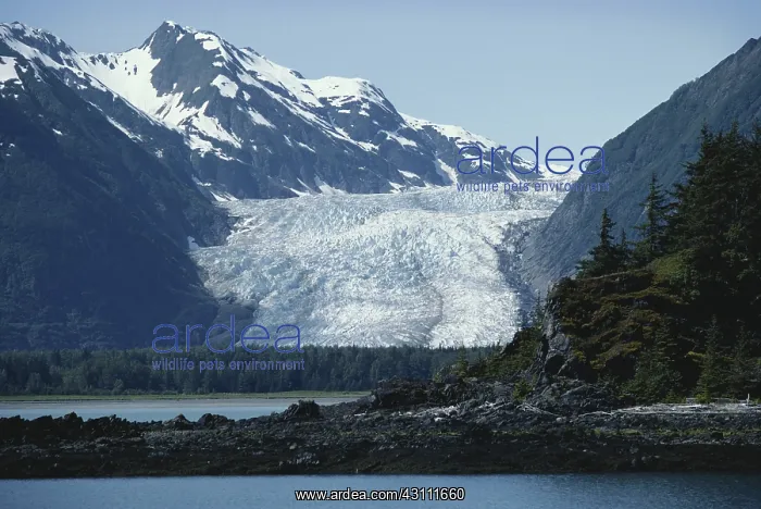 : Davidson Glacier : Davidson Glacier