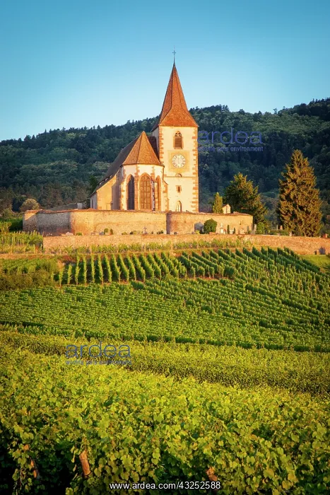 : Dawn at the 15th century church of St. Jacques : Dawn at the 15th century church of St. Jacques