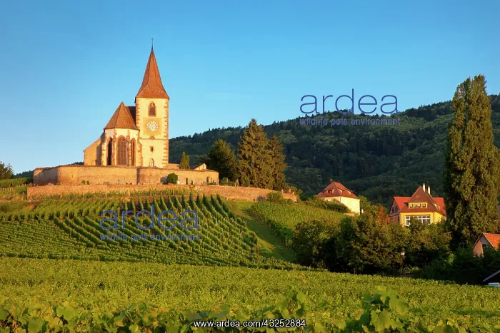 : Dawn at the 15th century church of St. Jacques : Dawn at the 15th century church of St. Jacques