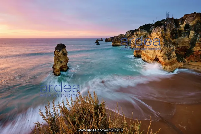 : Dawn at the beach Praia da Dona Ana, Lagos, Algarve : Dawn at the beach Praia da Dona Ana, Lagos, Algarve
