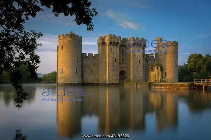 : Dawn at Bodiam Castle (built 1395), Bodiam, Robertsbridge : Dawn at Bodiam Castle (built 1395), Bodiam, Robertsbridge