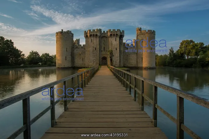 : Dawn at Bodiam Castle (built 1395), Bodiam, Robertsbridge : Dawn at Bodiam Castle (built 1395), Bodiam, Robertsbridge