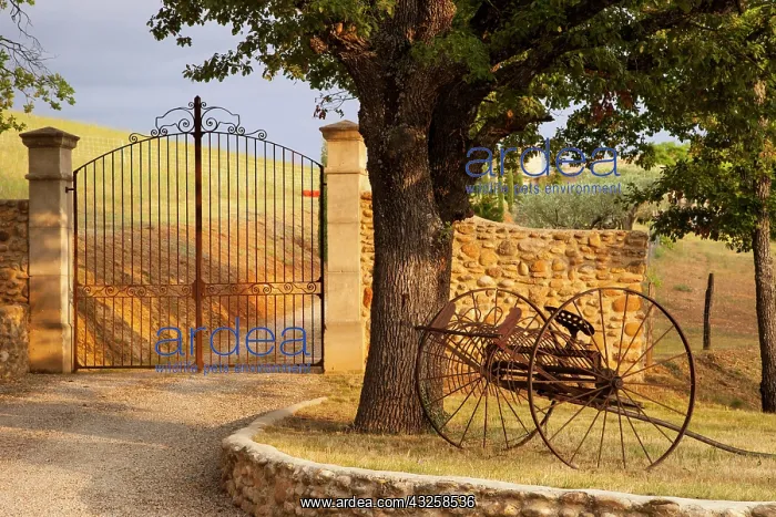 : Dawn at Gated entrance to farm near Greoux-les-Bains : Dawn at Gated entrance to farm near Greoux-les-Bains