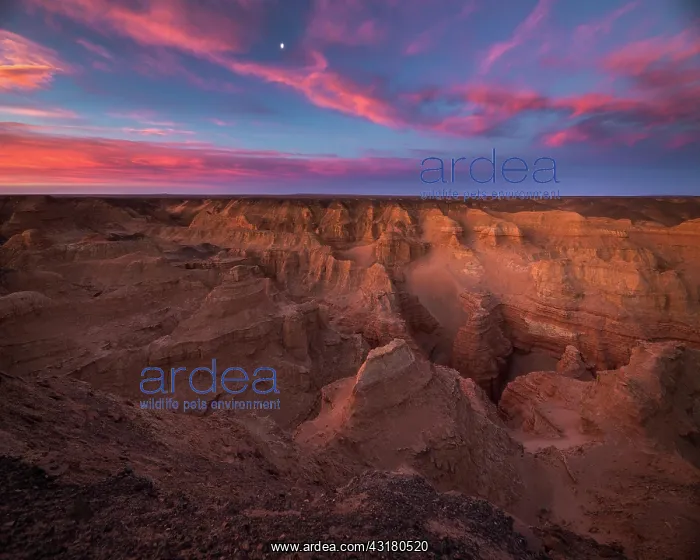  : Dawn, Khermen Tsav canyon landscape, Umnogobi Province