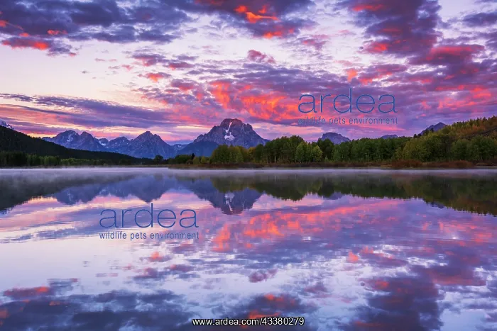 : Dawn light over the Tetons from Oxbow Bend, Grand : Dawn light over the Tetons from Oxbow Bend, Grand