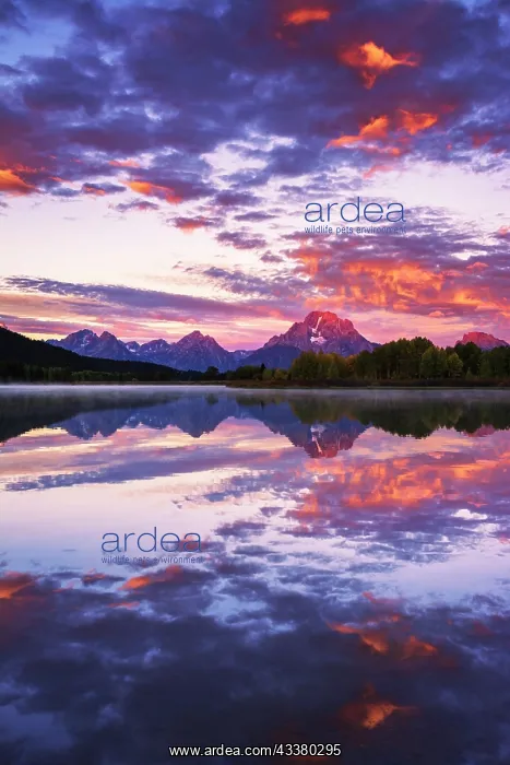: Dawn light over the Tetons from Oxbow Bend, Grand : Dawn light over the Tetons from Oxbow Bend, Grand