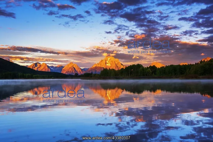 : Dawn light over the Tetons from Oxbow Bend, Grand : Dawn light over the Tetons from Oxbow Bend, Grand
