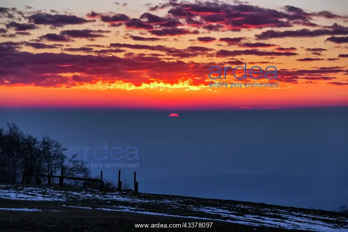 : Dawn on mountain top, remnants of snow, Knterberg : Dawn on mountain top, remnants of snow, Knterberg
