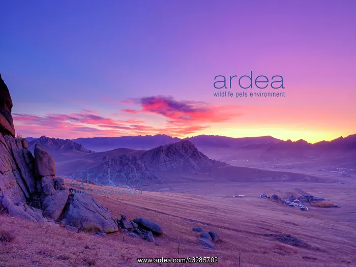 : Dawn, rock formations in Gorchi Terelj National : Dawn, rock formations in Gorchi Terelj National
