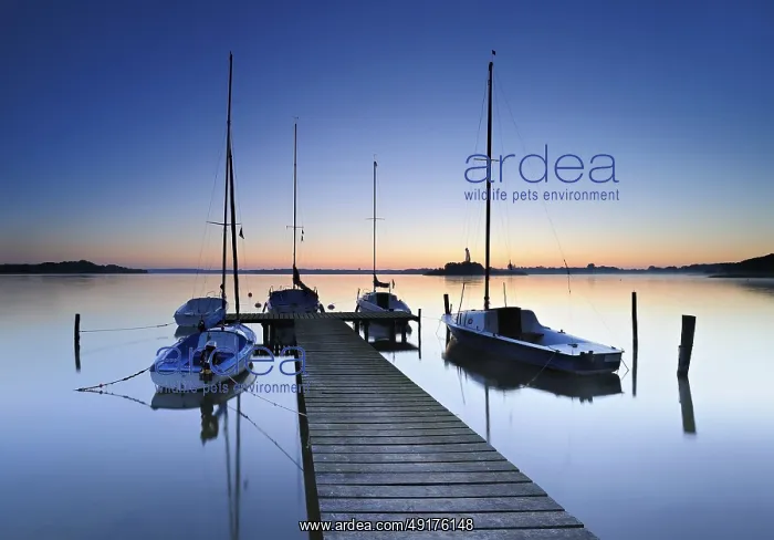 : Dawn on the Schaalsee, wooden jetty with sailing boats : Dawn on the Schaalsee, wooden jetty with sailing boats